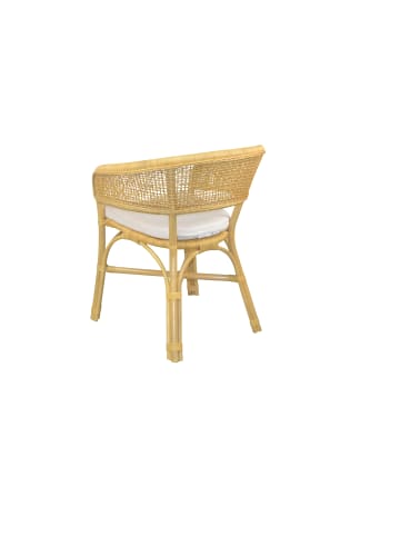 möbel-direkt Rattansessel Armlehnstuhl mit Kissen in beige