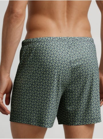 Calida Boxershorts, 2er-Pack in dark glen