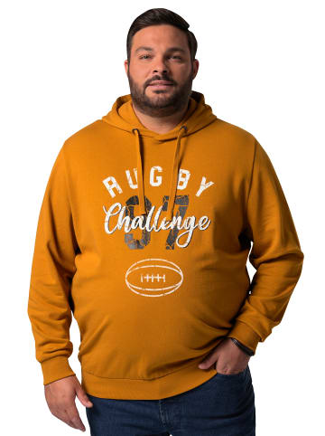 Men Plus Sweatshirt in zimt