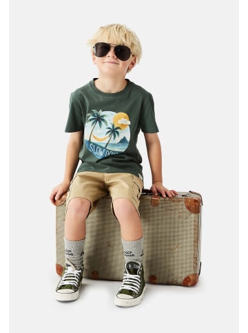 Band of Rascals T-Shirt " Slow Down " in cilantro-green