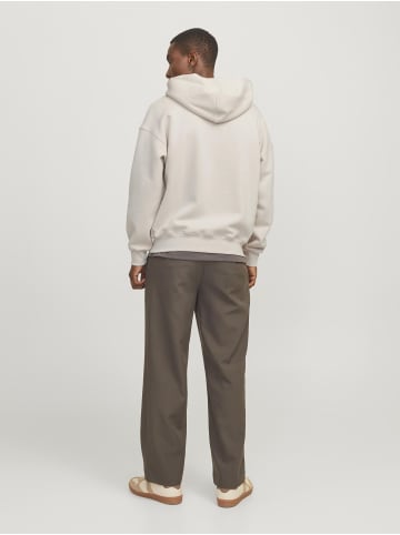 Jack & Jones Kapuzenjacke in Moonbeam