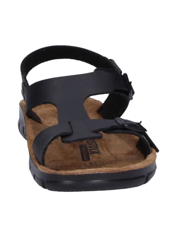 Birkenstock Freizeitschuhe Saragossa in schwarz in schwarz