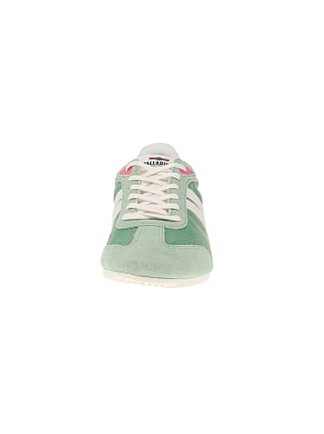 Palladium Sneaker low 94644-399-M in Grün