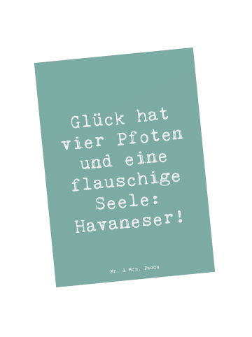 Mr. & Mrs. Panda Grußkarte Spruch Havaneser Glück mit Spruch in Meeresbrise