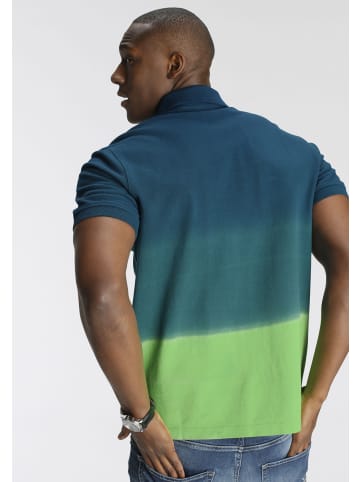 Delmao Poloshirt in blau -grün