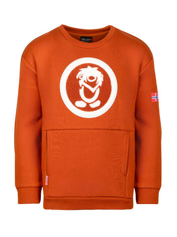 Trollkids Sweatshirt "Trolltunga" in Zimt