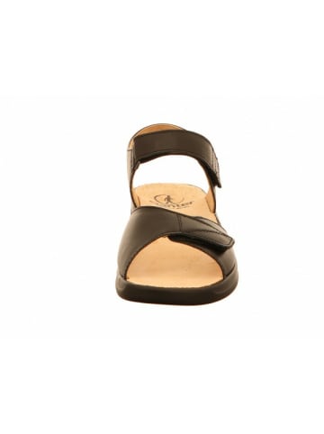 Ganter Komfort Sandalen für Damen in schwarz