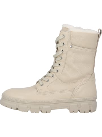 Palado Schnürstiefeletten Lodcen in Beige