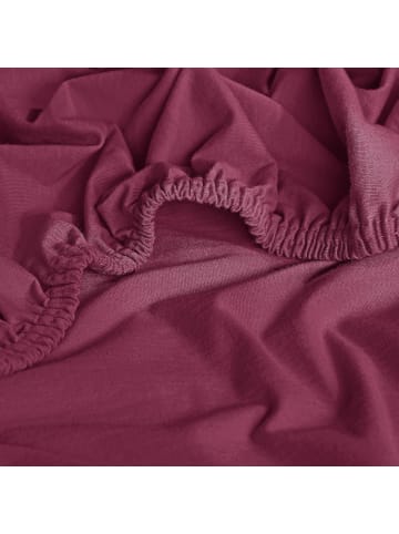 Erwin Müller Single-Jersey Topper-Spannbettlaken Freising in aubergine