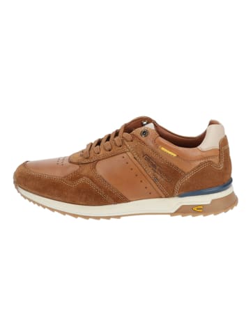 Camel Active Sneaker in Tan