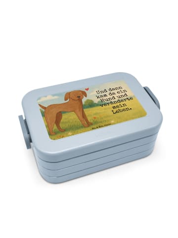Mr. & Mrs. Panda Bentobox Hund Dogge Design mit Spruch in Blau Pastell