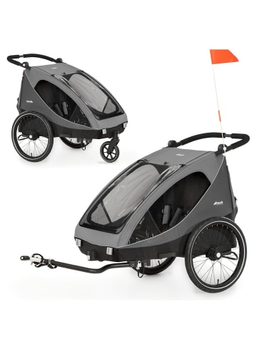 Hauck 2in1 Fahrradanhänger Dryk Duo für 2 Kinder in grau,schwarz