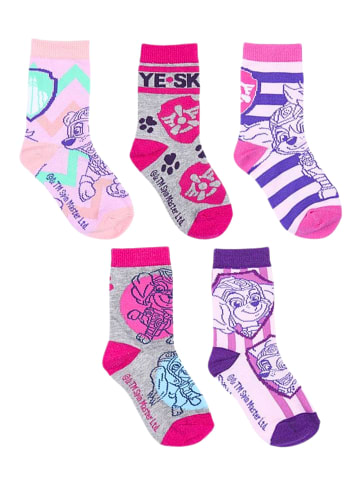 Paw Patrol 5er - Pack Kindersocken Paw Patrol im Kulturbeutel in Bunt