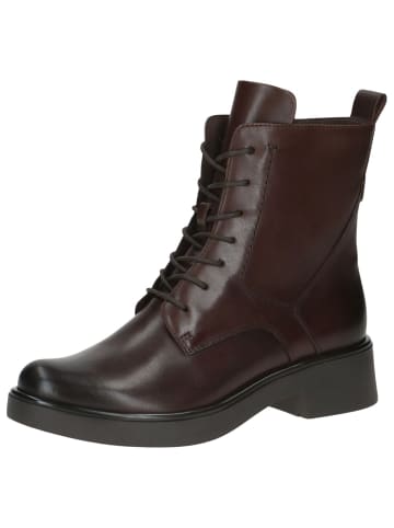 Caprice Stiefelette in DK BROWN NAPPA