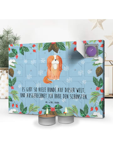 Mr. & Mrs. Panda Duftkerzen Adventskalender Hund Cavalier King C... in Eisblau