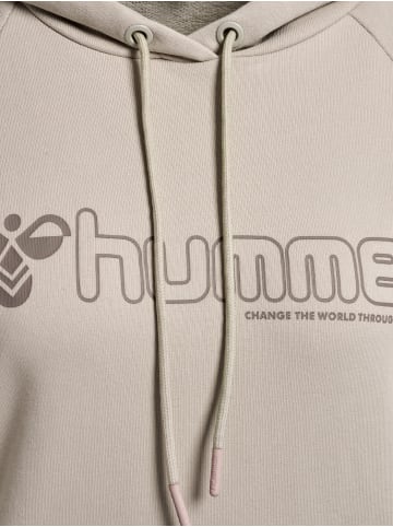 Hummel Hoodie Hmlnoni 2.0 Hoodie in CHATEAU GRAY