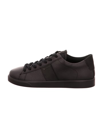 Ecco Komfort Schnürschuhe in Schwarz