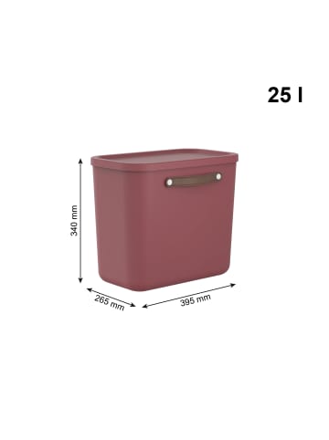 Rotho 2er-Set Kiste mit Deckel Maloja 25l in Iron rot