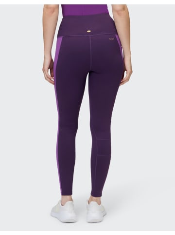 Venice Beach Tights VB Camy in eggplant_crocus