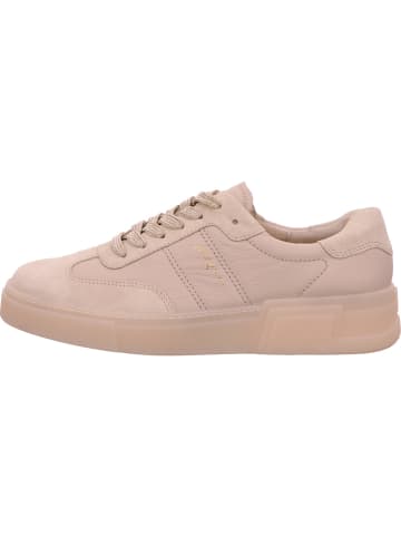 Paul Green Sneaker in beige