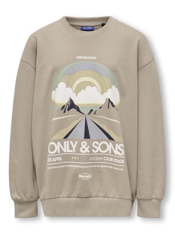 ONLY & SONS Junior Sweatshirt in Chinchilla
