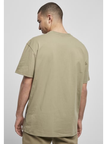 Southpole T-Shirts in khaki