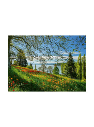 Schmidt Spiele Puzzle Frühlingsallee zur Tulpenblüte, Insel Mainau, 1000 Teile
