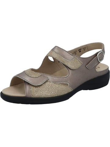 Solidus Sandalen für Damen in taupe