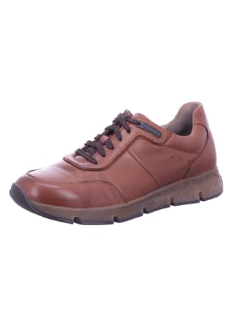 Pius Gabor Sneaker in braun