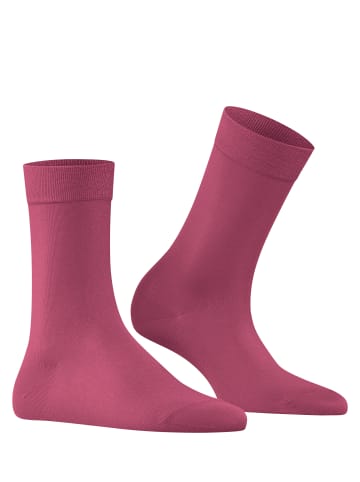 Falke Cotton Touch Socke in Engl. rose