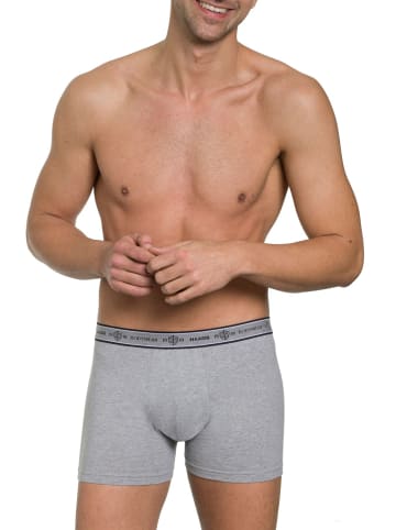 Haasis Bodywear 3er-Set: Pants in graumeliert