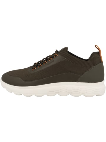 Geox Sneaker low U Spherica A in gruen