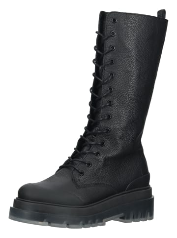 Steve Madden Stiefel in Schwarz