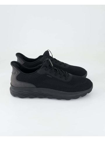 Geox Sneaker low in Schwarz