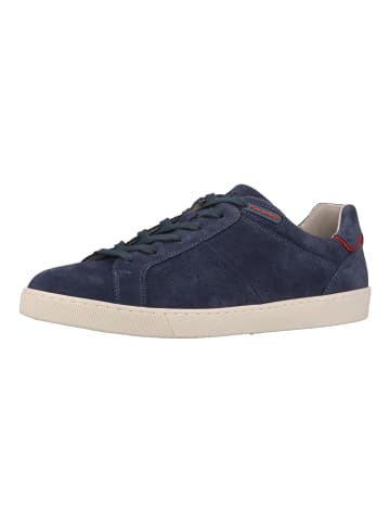 Pius Gabor Sneaker in Blau/Rot