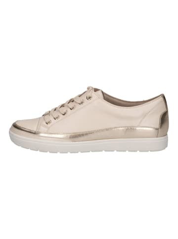 Caprice Sneaker in Cream