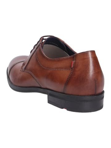 LLOYD Business Schnürschuh in braun