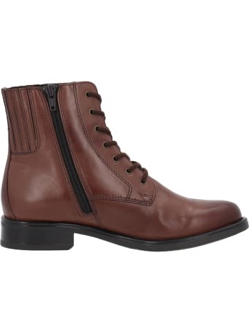 palado Schnürstiefel in braun 311