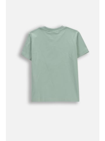 Coccodrillo T-Shirt mit kurzen Ärmeln in grün