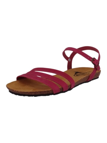 Plakton Sandalen rosa
