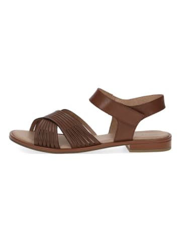 Caprice Sandalen in Cognac