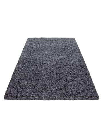 Teppich Boss Hochflor Teppich Lux in Grau