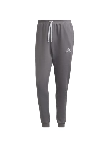 adidas Performance adidas Entrada 22 Sweat Pants in Grau