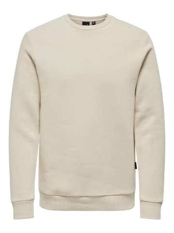 ONLY & SONS Sweatshirt in Silver Lining