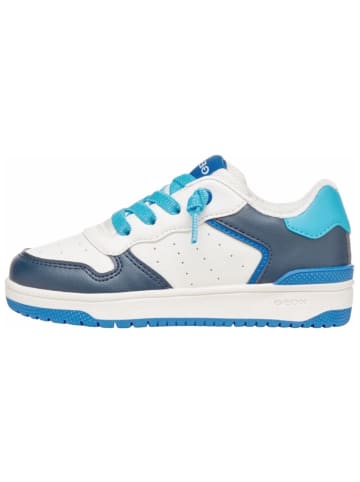 Geox Sneaker in Blau/Weiß