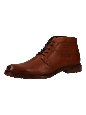 Daniel Hechter Stiefelette in Cognac