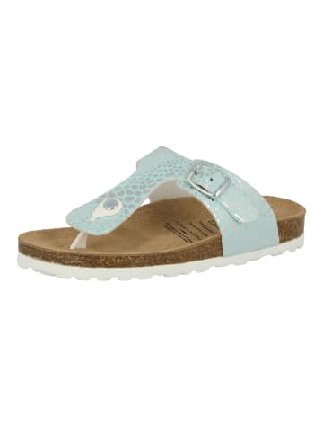 Lico Pantolette "Bioline Stone Kids" in Blau