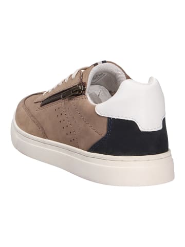 Bugatti Sneaker in beige