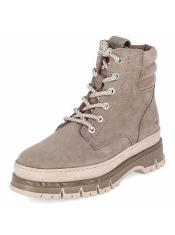 Tamaris Schnürstiefel in taupe
