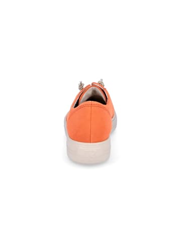 Paul Green Sneaker in Orange